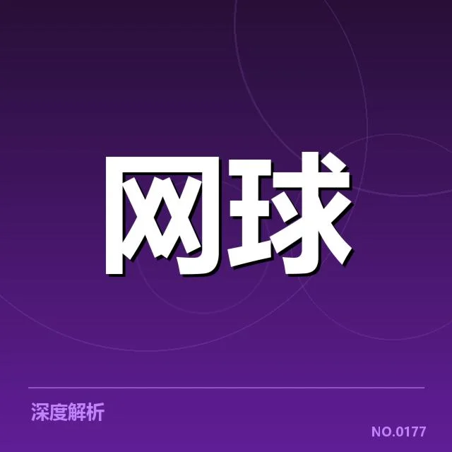 红土赛季伤病恢复：网球运动员恢复速度为何差异明显